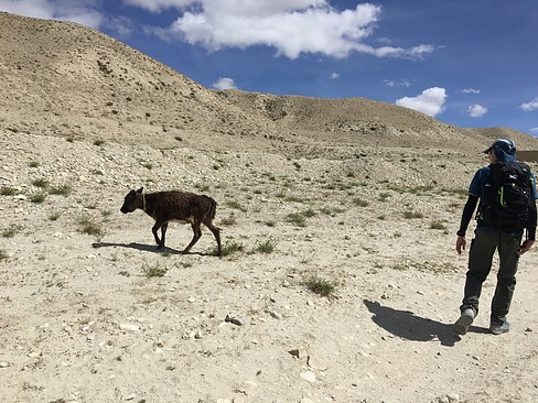 UNADJUSTEDNONRAW_thumb_3d60