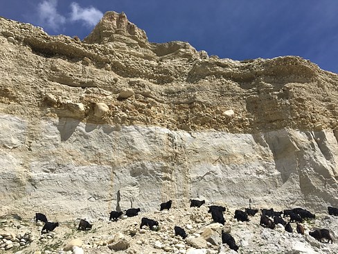 UNADJUSTEDNONRAW_thumb_3d63