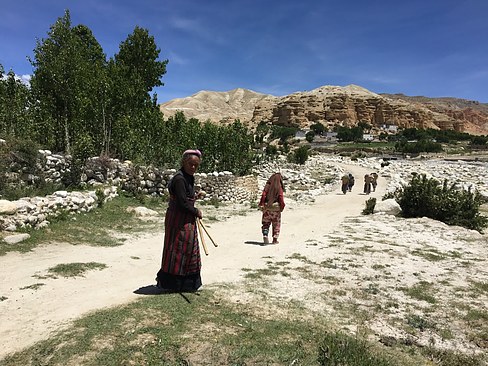 UNADJUSTEDNONRAW_thumb_3d74