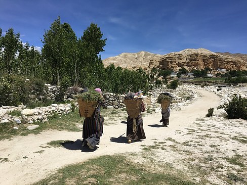 UNADJUSTEDNONRAW_thumb_3d75