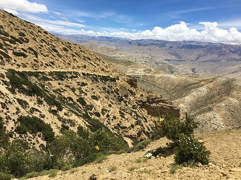 UNADJUSTEDNONRAW_thumb_3de4