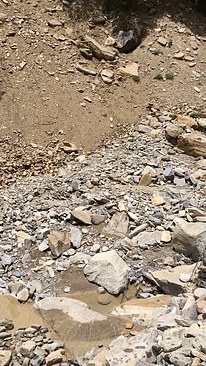 UNADJUSTEDNONRAW_thumb_3def