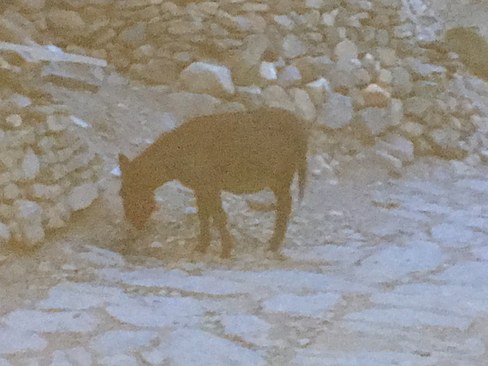 UNADJUSTEDNONRAW_thumb_3e06