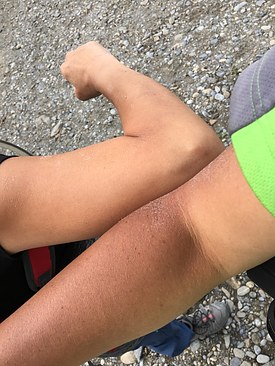 UNADJUSTEDNONRAW_thumb_3e10