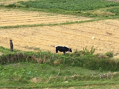 UNADJUSTEDNONRAW_thumb_3e12