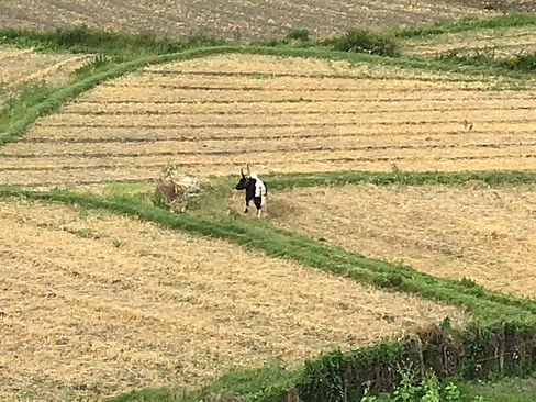 UNADJUSTEDNONRAW_thumb_3e13