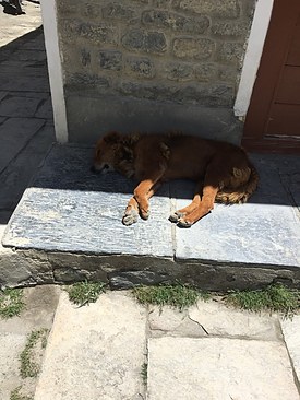 UNADJUSTEDNONRAW_thumb_3e29