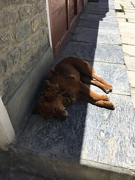 UNADJUSTEDNONRAW_thumb_3e2a