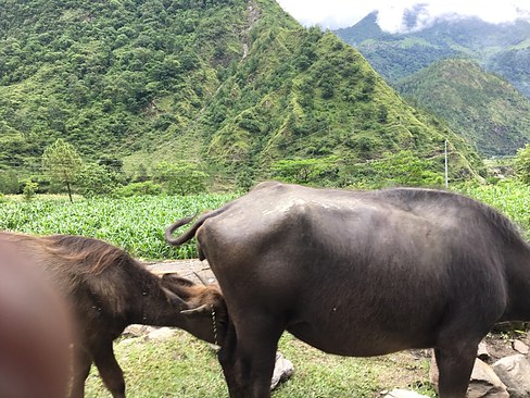 UNADJUSTEDNONRAW_thumb_3e66