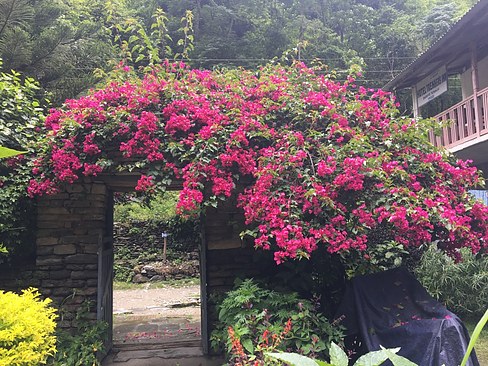 UNADJUSTEDNONRAW_thumb_3e71