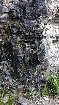 UNADJUSTEDNONRAW_thumb_3e73