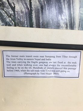 UNADJUSTEDNONRAW_thumb_3eb1