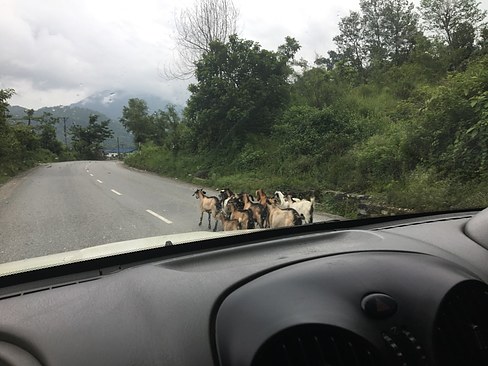 UNADJUSTEDNONRAW_thumb_3ed0